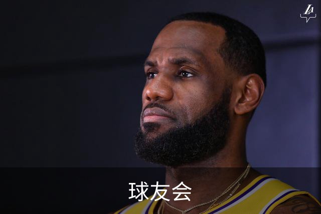 球友会公司简介配图